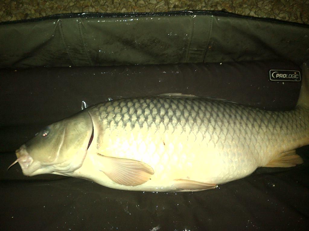 Corbu 28 - 29 sep. - img-20130928-00192.jpg